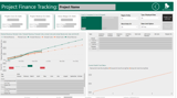 Project-Finance-Tracking-Report.png